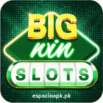 666Win Casino App Download & Login Free For Android