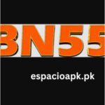 BN55 Game Download APK | Free Money Making App